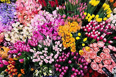 《真人快打1》销量超过300万套 IP价值达10亿美元