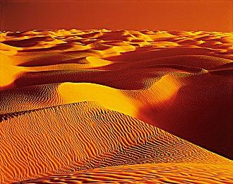 爆笑物理合作游戏《超级兔子人》本月发售正式版